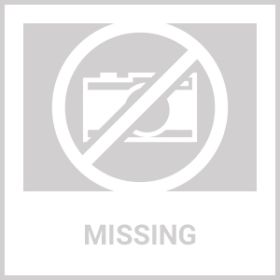 Elevated Dog Bowls(No Shipments On Weekends)