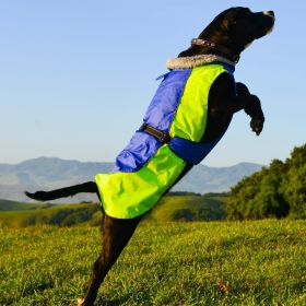 Alpine All-Weather Dog Coat (Color: Blue and Green, size: 2X-Large)