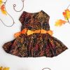 apFall Leaves Harness Dress With Matching Leash
